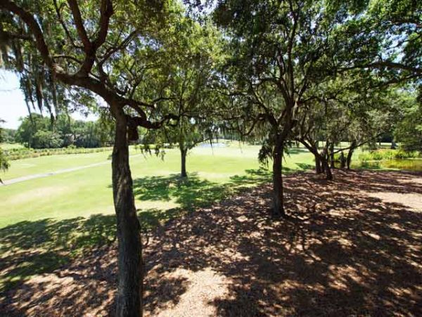 Hilton Head Home 993362