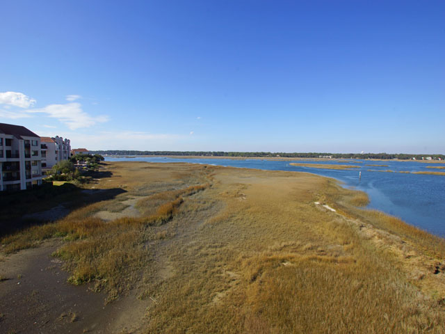 Hilton Head Condo 993366