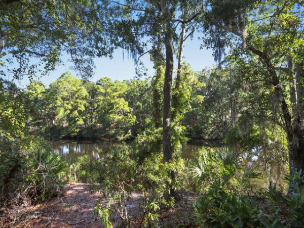 Hilton Head Condo 993368