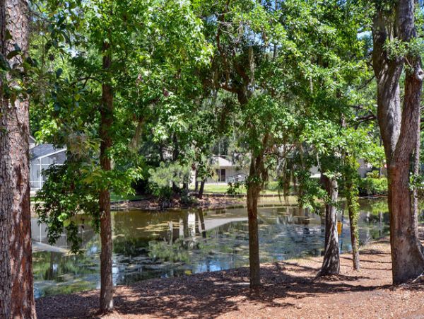 Hilton Head Condo 993370