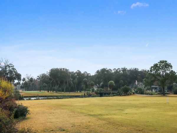 Hilton Head Home 993374