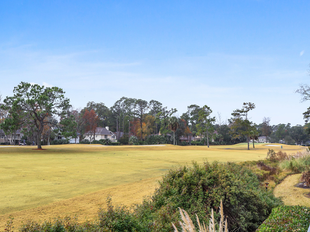 Hilton Head Home 993374