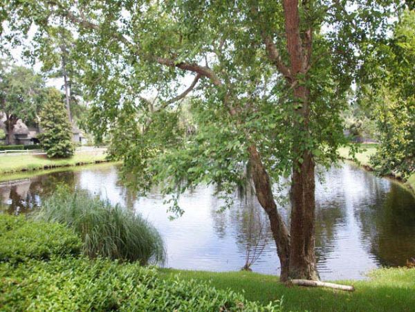 Hilton Head Home 993375