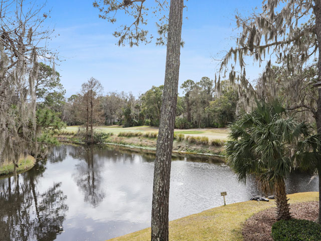 Hilton Head Condo 993377