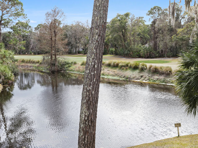 Hilton Head Condo 993377