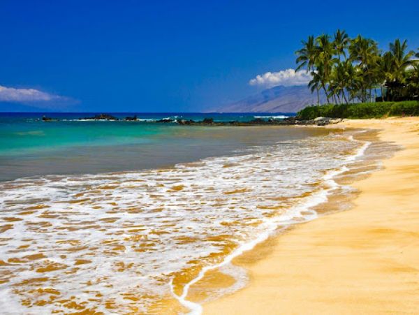 Wailea Vacation Condo Walk to Beach with Communal Pool