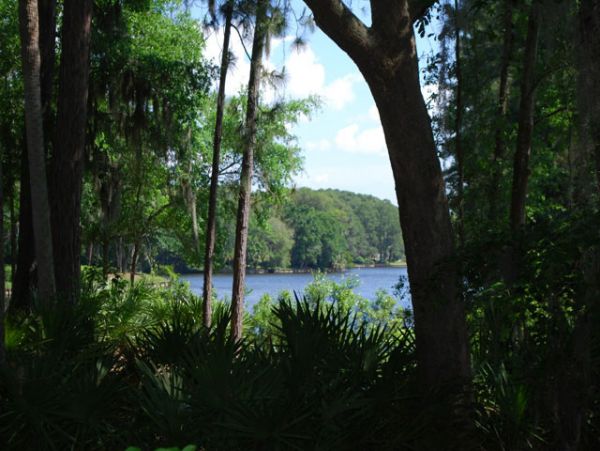 Four Bedroom Plus Den Rental Home in Hilton Head