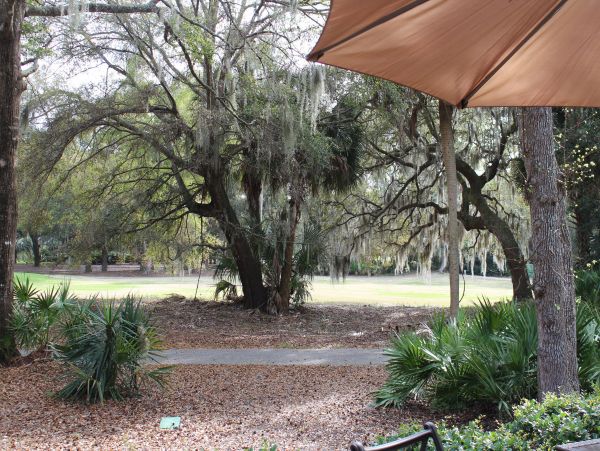 Hilton Head Home 993472