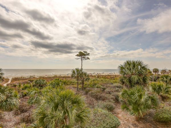 Beachfront One Bedroom  Villa in Hilton Head
