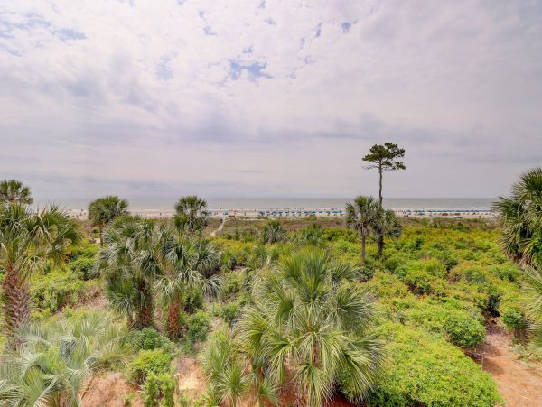 Beachfront One Bedroom  Villa in Hilton Head