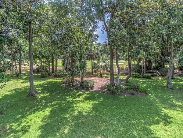 Hilton Head Home 993481