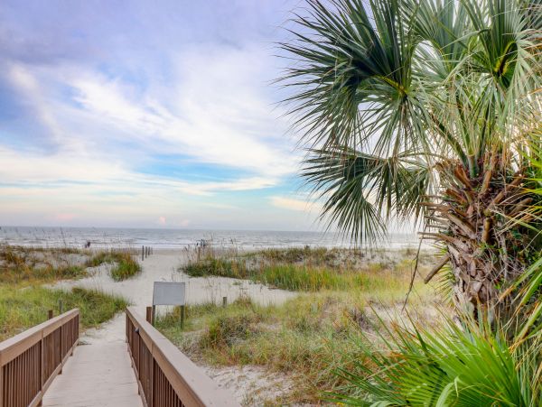 Hilton Head Condo 993495