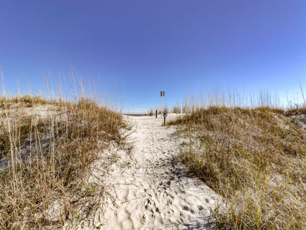 Hilton Head Condo 993500