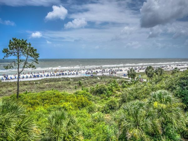 Hilton Head Condo 993501