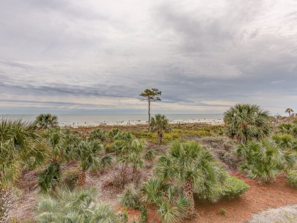 Hilton Head Condo 993503