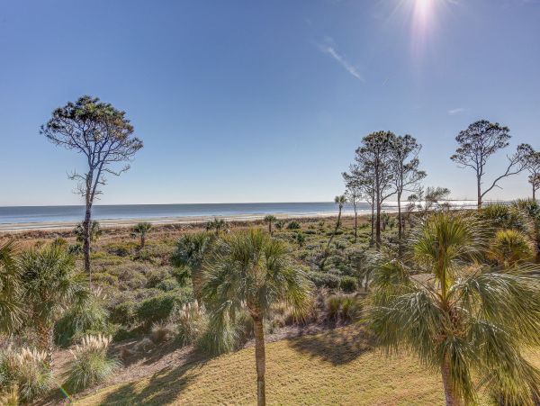 Hilton Head Condo 993520