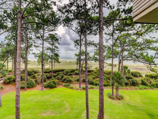 Hilton Head Condo 993530