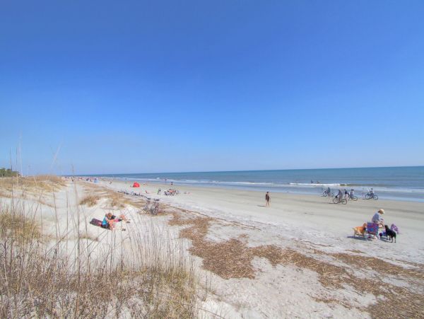 Hilton Head Home 993540