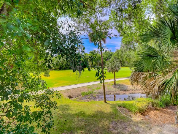 Hilton Head Home 993544
