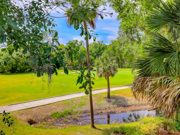 Hilton Head Home 993544