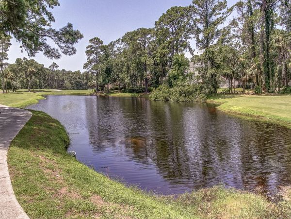 Hilton Head Home 993544