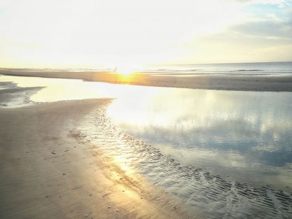 Hilton Head Home 993567