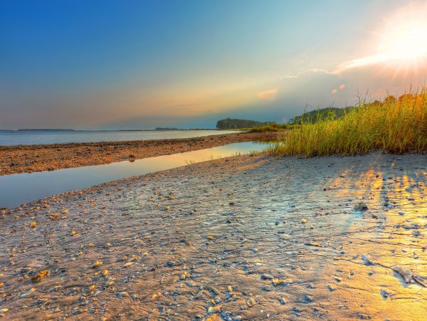 Hilton Head Home 993567