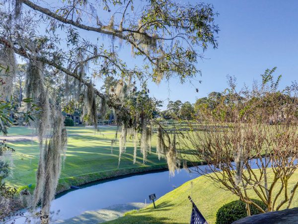 Hilton Head Home 993583