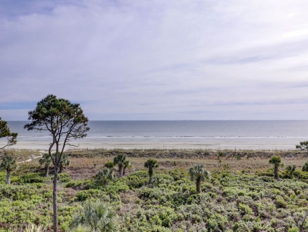 Hilton Head Condo 993587
