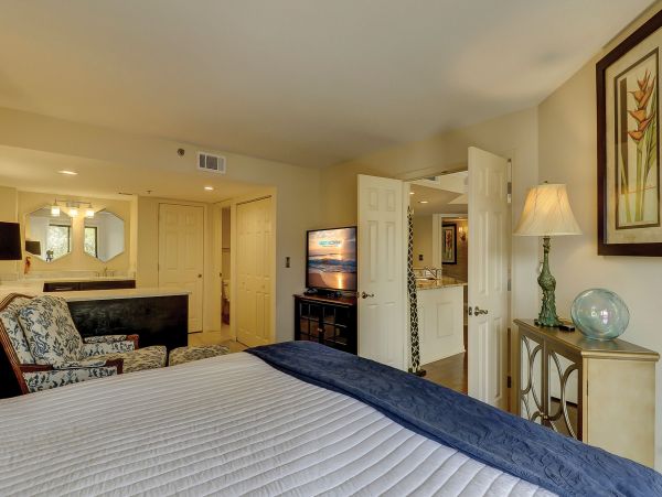 Hilton Head Condo 993591