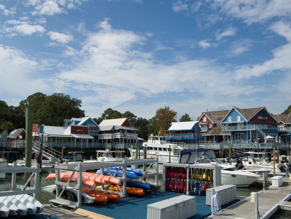 Hilton Head Condo 993592