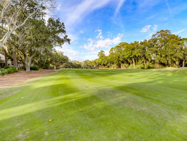 Hilton Head Condo 993623
