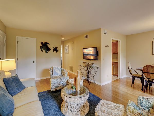 Hilton Head Condo 993623