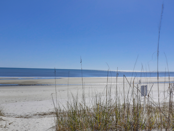 Oceanfront Luxury Seven Bedroom Vacation Rental