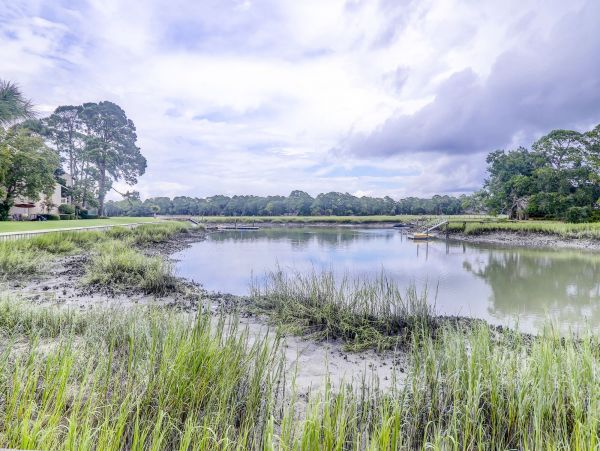 Hilton Head Condo 993634