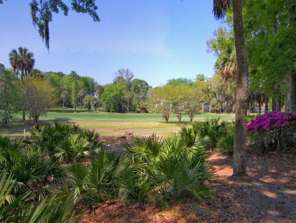 Hilton Head Condo 993636