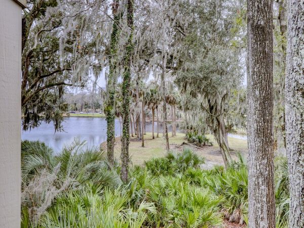 Hilton Head Condo 993636
