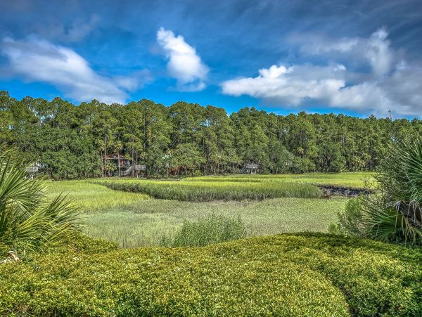 Hilton Head Home 993637