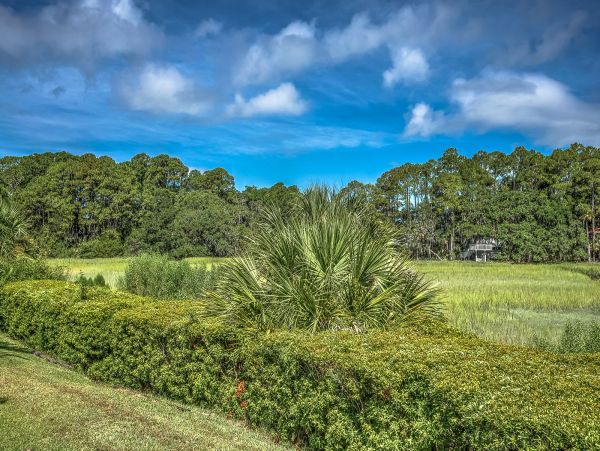 Hilton Head Home 993637