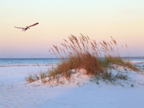 Hilton Head Magnificent Views of the Water Five Star Amenities