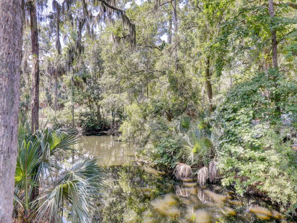 Hilton Head Home 993649