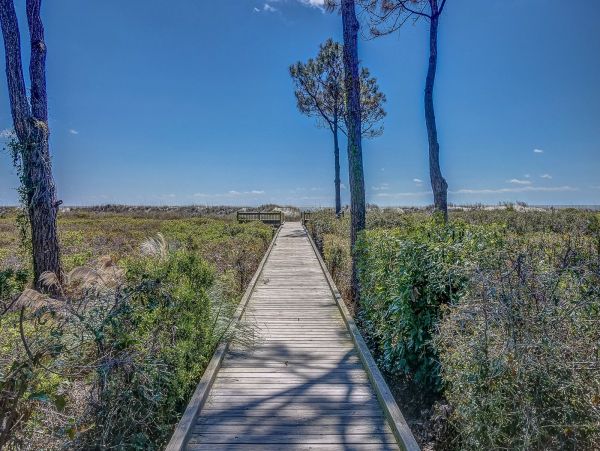 Hilton Head Condo 993651
