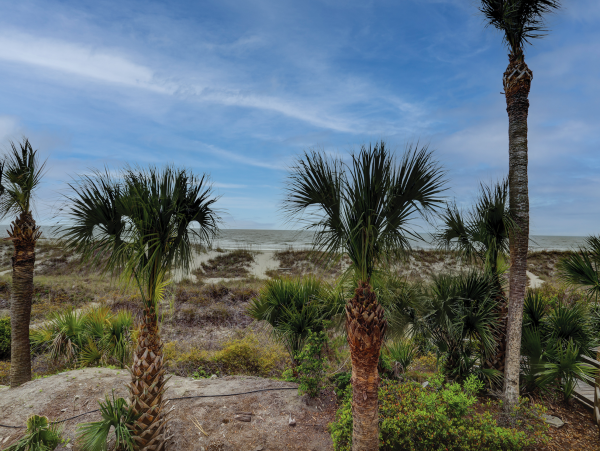 Beach Front Luxury Hilton Head