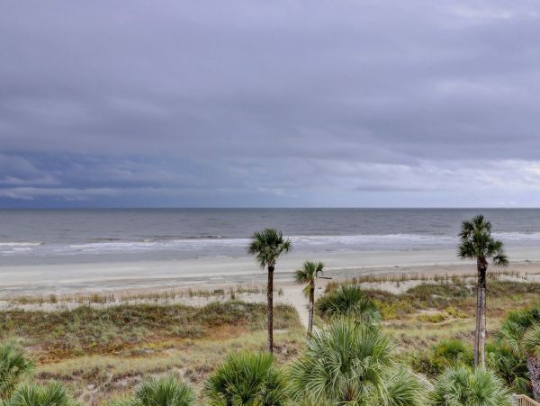 Hilton Head Condo 993663