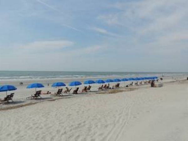 Hilton Head Condo 993664