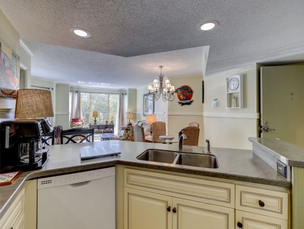 Hilton Head Condo 993665