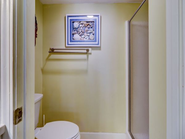 Hilton Head Condo 993665