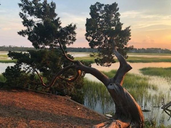 Hilton Head Home 993678