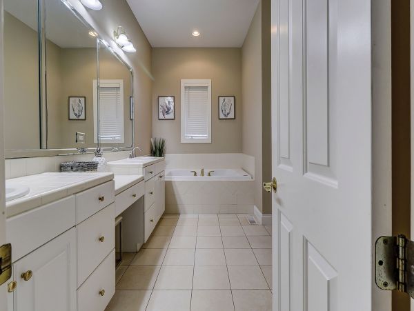Fabulous Pet Friendly Option