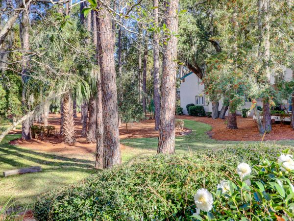 Hilton Head Home 993697